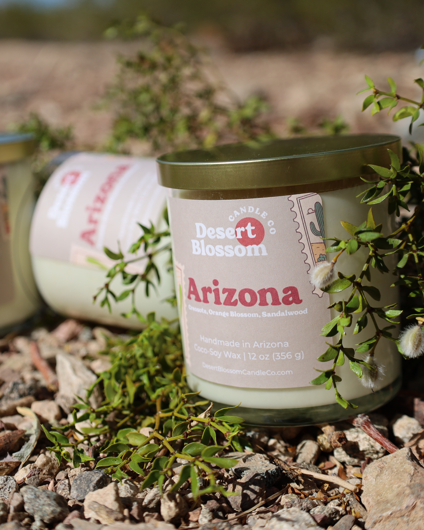 Arizona Creosote + Orange Blossom Candle