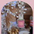 Car Diffusers | Long Lasting Car Air Freshener