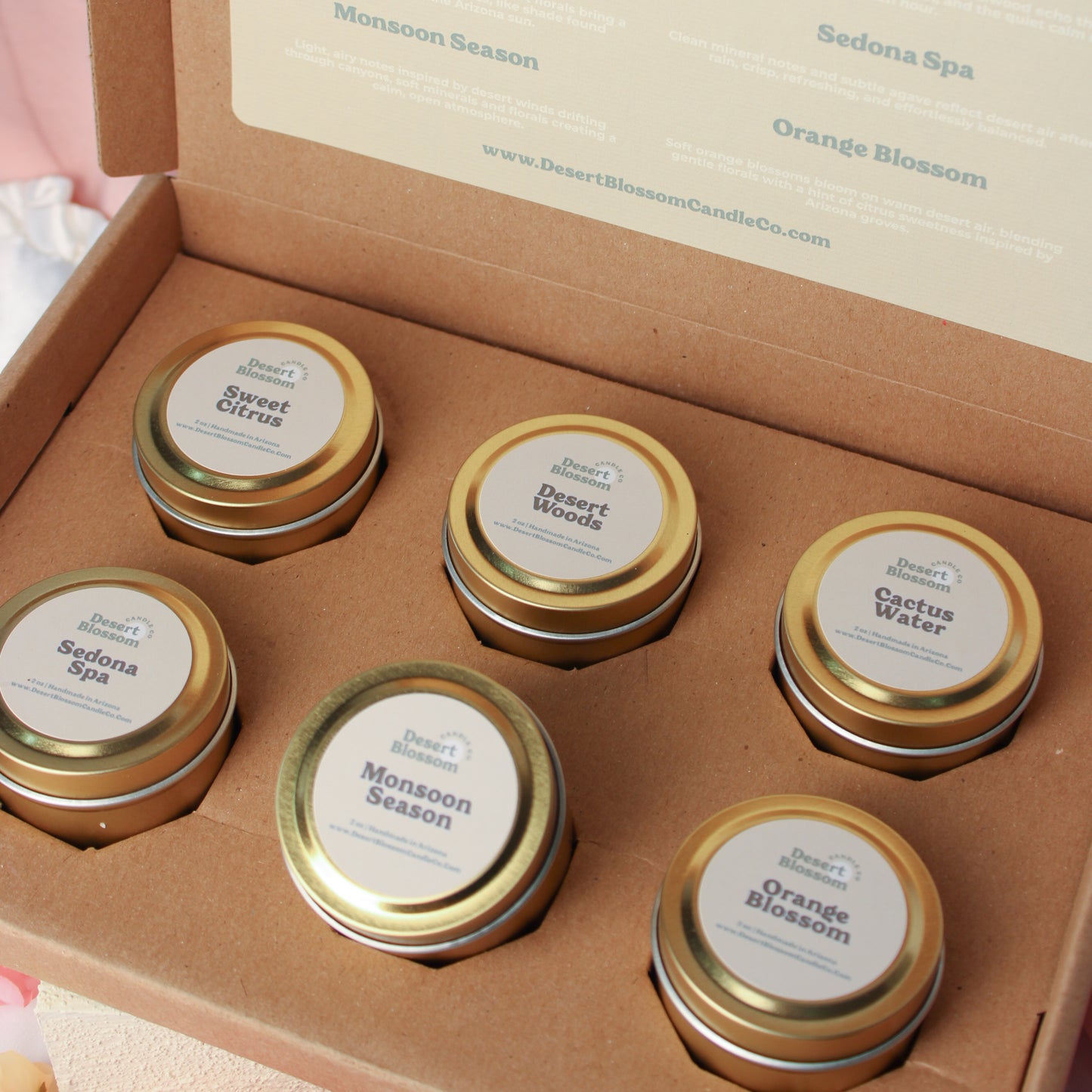 Desert Collection Discovery Set