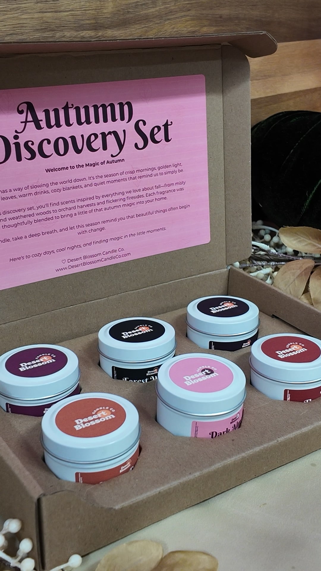 Autumn Discovery Set