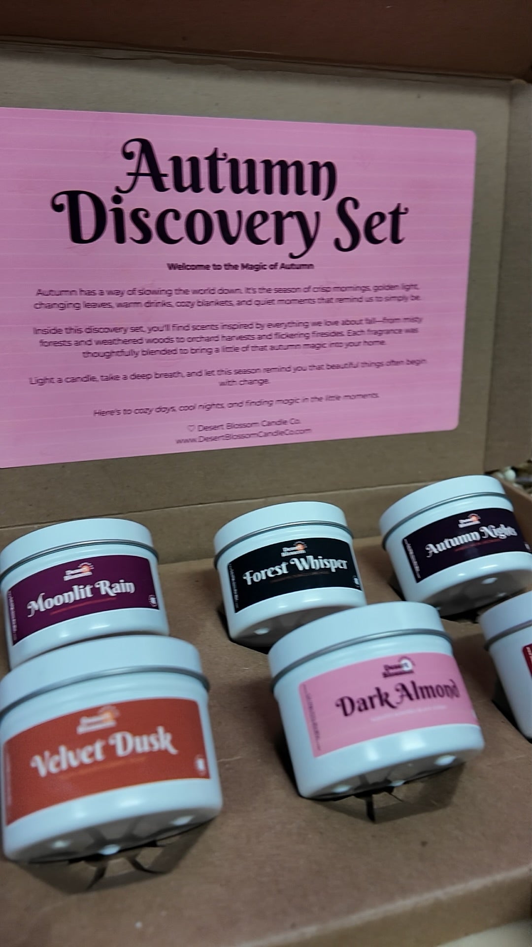 Autumn Discovery Set